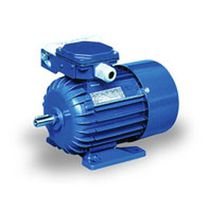 AC-Motor / einphasig / Asynchron / 230V