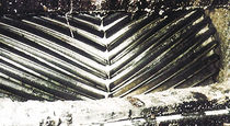 Getriebe&ouml;l  Phillips Kiln
