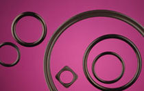 Gleitringdichtung  Technical Rubber Products