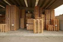 Holzpalette  CAMPIA Imballaggi