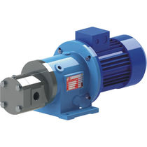 Innenzahnradpumpe mit Magnetkupplung max 80 mc/h, max 30 bar | GS MAG-M M PUMPS