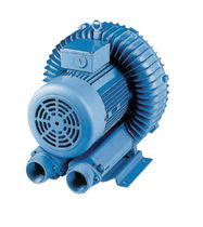 Seitenkanalverdichter max. 650 mbar, 1 100 m3/h | CL, CL.BV series MAPNER