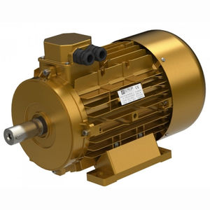 Motor mit hohem Wirkungsgrad / 3-Phasen / Asynchron / 230V