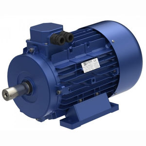3-Phasen-Motor / Asynchron / 230V / 400V