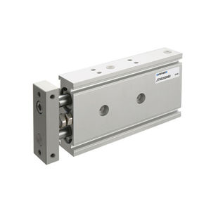 pneumatischer Zylinder / mit geführter Kolbenstange