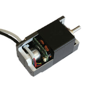 DC-Motor / bürstenlos / 48V / mit integrierter Elektronik