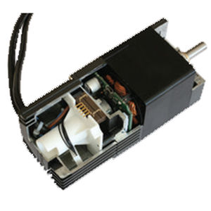 DC-Motor / bürstenlos / 60V / Drehzahlregelung