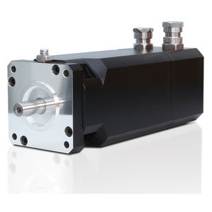 3-Phasen-Servomotor / 560V / 6-polig / ex-geschützt