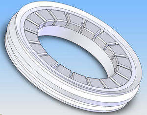 Ring-Lippen-Dichtung / Rahmen / D-Ring / Edelstahl