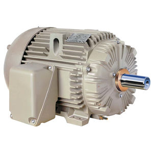 3-Phasen-Motor / Induktion / 460 V / für harte Einsatzbedingungen