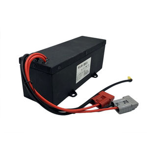 Lithium Ionen Batterie ELB Energy Group Rechteckig 48 V IEC