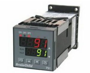 analoger Temperaturcontroller / PID / programmierbarer Rampe Vorwärmung / konfigurierbar