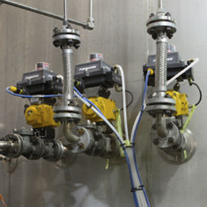 ex-geschützter Ventilsteuergerät