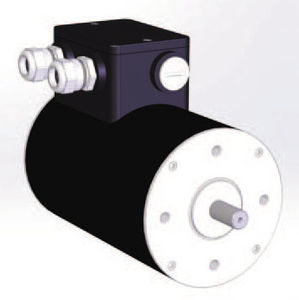 DC-Motor / bürstenlos / 48V / 8-polig