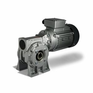 AC-Elektrogetriebemotor / gewinkelt / mit Schnecke / Hohlwelle