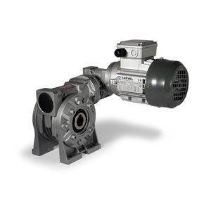 AC-Elektrogetriebemotor / Winkel / Schnecken / Hohlwelle