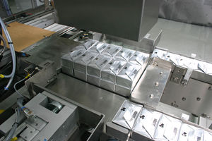 Wrap-Around-Kartonpacker / automatisch