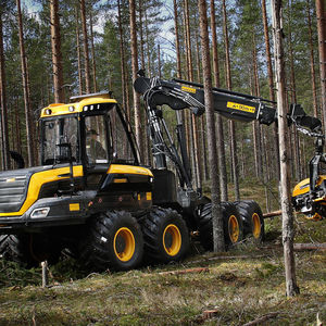 radmobile Holzerntemaschine / Laufkäne