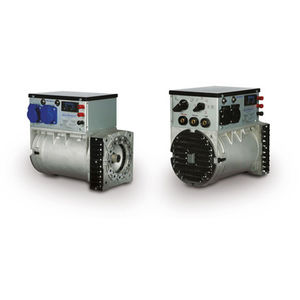 einphasige Lichtmaschine / bürstenlos / zweipolig / für Generator