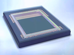 CMOS-Bildsensor / Farb / monochrom / hohe Drehzahl