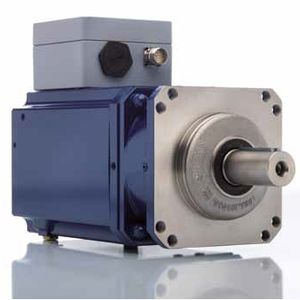 einphasiger Servogetriebemotor / Koaxial