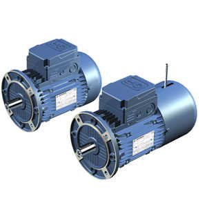 AC-Motor / 3-Phasen / Asynchron / 12V