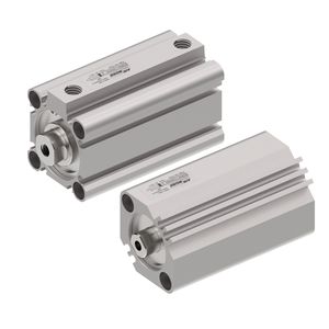 pneumatischer Zylinder / einfach / doppeltwirkend / mit Querverstrebung