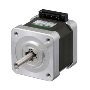 DC-Motor / 2-Phasen-Schritt / 24V / 48V