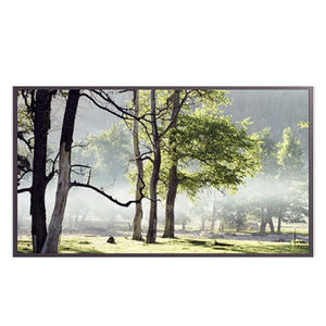 LCD-Monitor / mit LED-Rückbeleuchtung / digital / 55