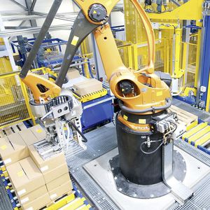 Palettierer und Depalettierer / Roboter / Karton / automatisch