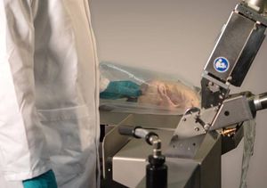 horizontale Absackmaschine / Vakuum / für Gefügelzucht / automatisch