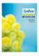 Neue&nbsp;K�ltewelle p 1