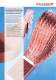 Hochflexible Strombr�cken, Stromb�nder, Kabel - Druseidt