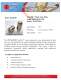 TrueTilt�, Dual Axis, Wide Angle, Electrolytic Tilt Sensor