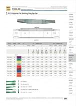 3521 polyester Flat Webbing Sling Eye Eye