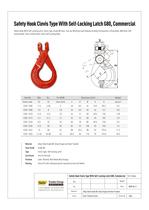 Safety Hook with Self Locking Latch Clevis type
