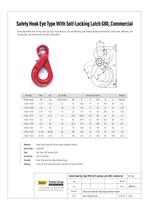 Safety Hook with Self Locking Latch Eye type