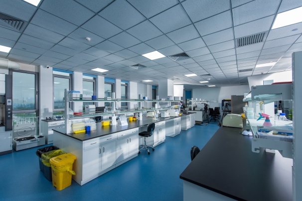 MEGAROBO Photo 4