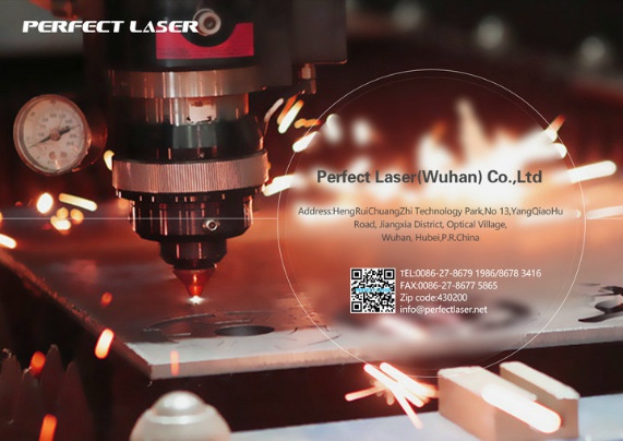 Perfect Laser Co., Ltd. (China) Photo 7