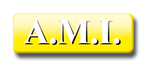 AMI - A.M.I.