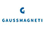 Gauss Magneti