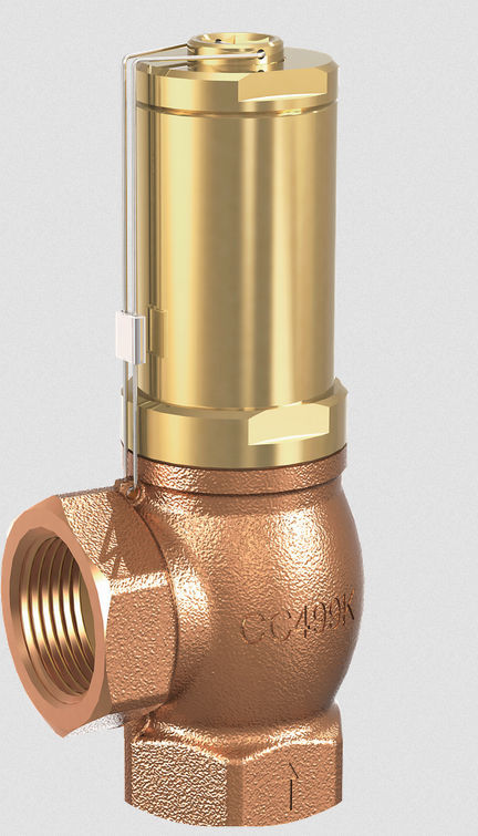 Tool Daily EinstellbareThermischer Entlastungsventil Für Hochdruckreiniger Pumpen, 1/4 Inch NPT, 2-Pack