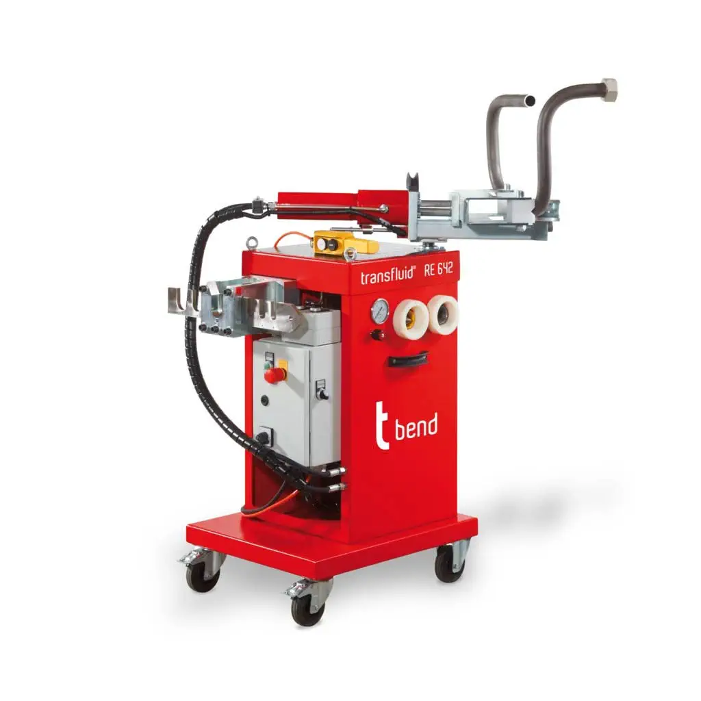 Tort oyoqqa turib, mushukini yoyib turgan xolaning surati