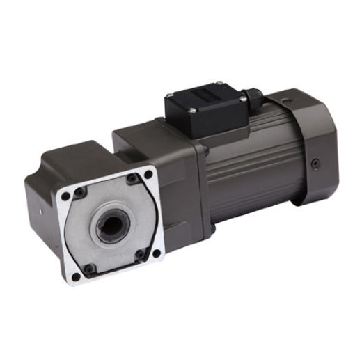 FANNIXI AC Gear Motor 200W 220V AC Getriebemotor mit Drehzahlregler FANNIXI AC Gear Motor 200W 220V AC Getriebemotor mit Drehzahlregler