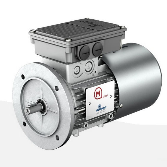 Einphasen Motor 230V 0,75kW - 1 PS Für Betonmischer & Maschinen
