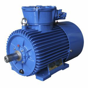 3-Phasen-Motor - dSg80-2A - Cantoni Motor - 1000 V / ex-geschützt / IP54