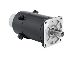 Gleichstrommotor / Bürsten / 48V / 100 V