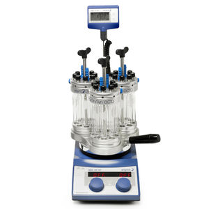 Chargenreaktor