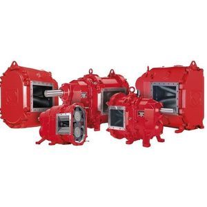 Drehkolbenpumpe 1