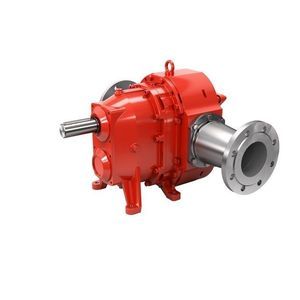 Drehkolbenpumpe 1